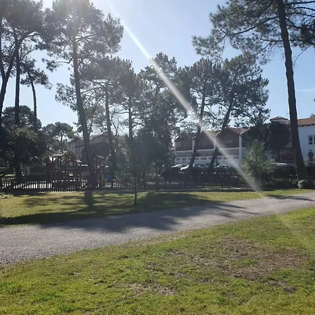 Terrasses Saint Georges: Tranquil Center Retreat Near Marine